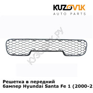 Решетка в передний бампер Hyundai Santa Fe 1 (2000-2012) KUZOVIK